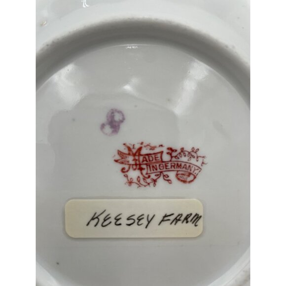 Vintage German Porcelain Plate Cat & Dog Graphic "Forget Me Not" & "Think Of Me" - Picture 3 of 5